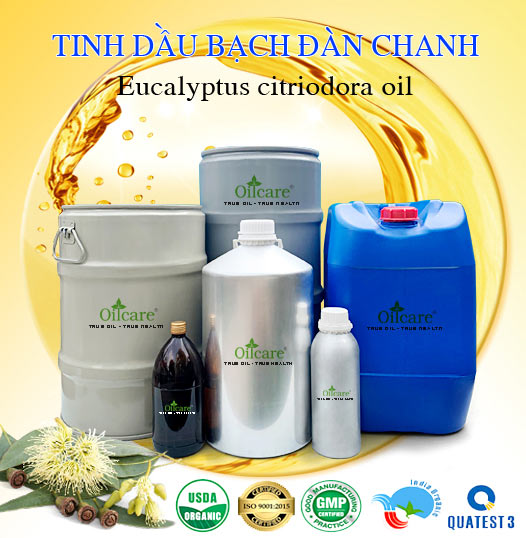 Bán Buôn Tinh Dầu Bạch Đàn Chanh Giá Sỉ Với Số Lượng Lớn (Thùng, Phuy)