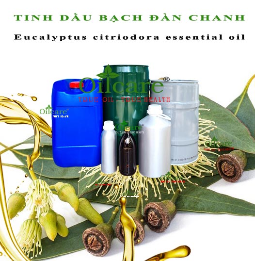 Tinh dầu bạch đàn chanh eucalyptus citriodora bán lít kg buôn giá sỉ rẻ