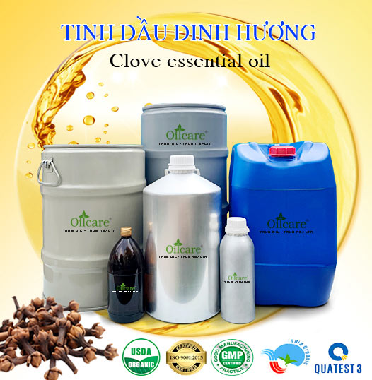 Bán Buôn Tinh Dầu Đinh Hương Giá Sỉ Với Số Lượng Lớn (Thùng, Phuy)