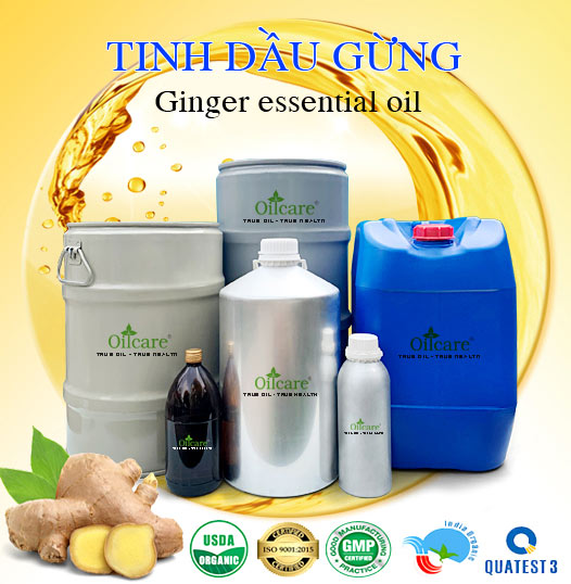 Chuyên Bán Buôn Tinh Dầu Gừng Giá Sỉ