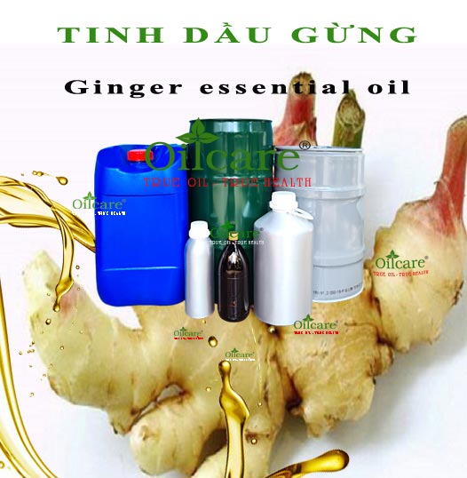Tinh dầu gừng ginger bán lít kg buôn giá sỉ rẻ