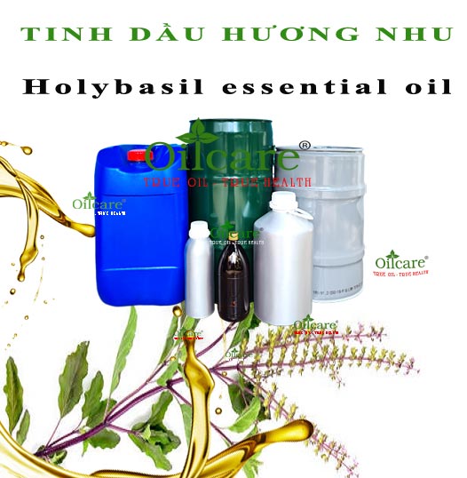 Tinh dầu hương nhu holy basil bán lít kg buôn giá sỉ rẻ