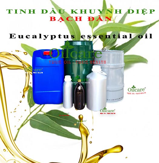 Tinh dầu khuynh diệp bạch đàn eucalyptus bán buôn kg lít giá sỉ rẻ