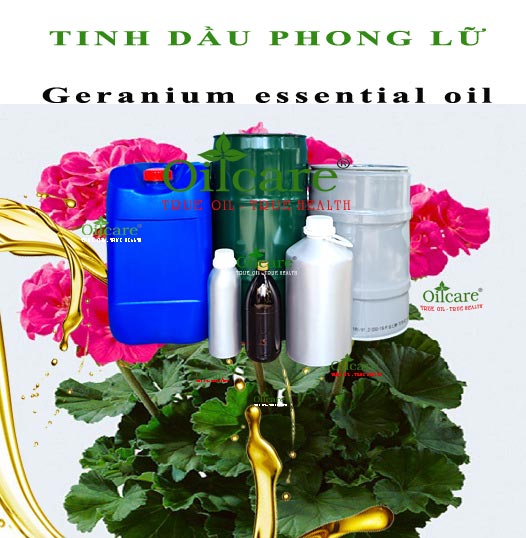 Tinh dầu phong lữ geranium bán lít kg buôn giá sỉ rẻ mua ở đâu