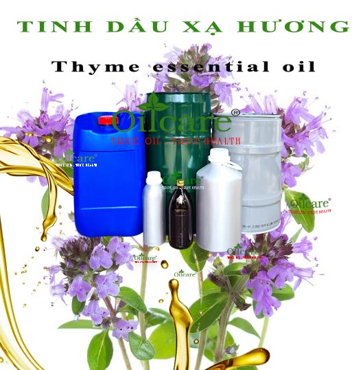 Tinh dầu xạ hương thyme bán lít kg buôn giá sỉ rẻ