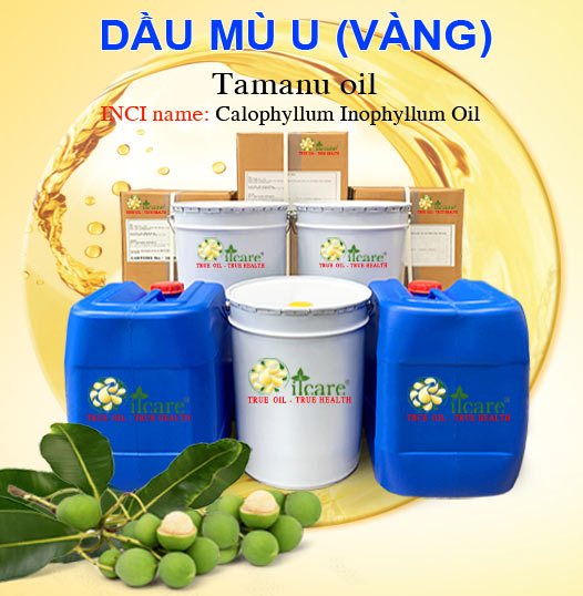 Bán Buôn Dầu Mù U Giá Sỉ Với Số Lượng Lớn (Thùng, Phuy)