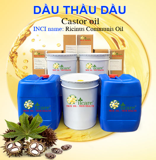 Bán Buôn Dầu Thầu Dầu Giá Sỉ Với Số Lượng Lớn (Thùng, Phuy)