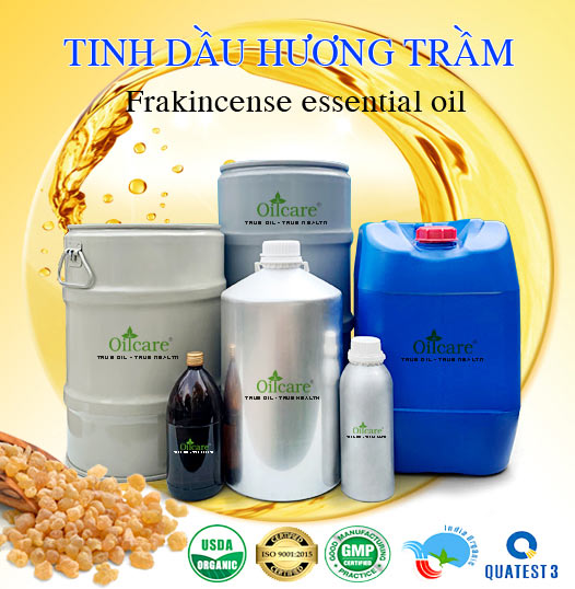 Chuyên Bán Buôn Tinh Dầu Hương Trầm Giá Sỉ Với Số Lượng Lớn (Thùng, Phuy)