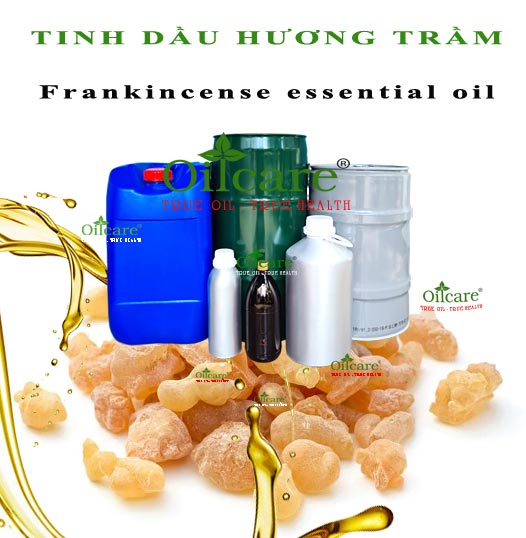 Tinh dầu hương trầm frankincense bán lít kg buôn giá sỉ rẻ mua ở đâu