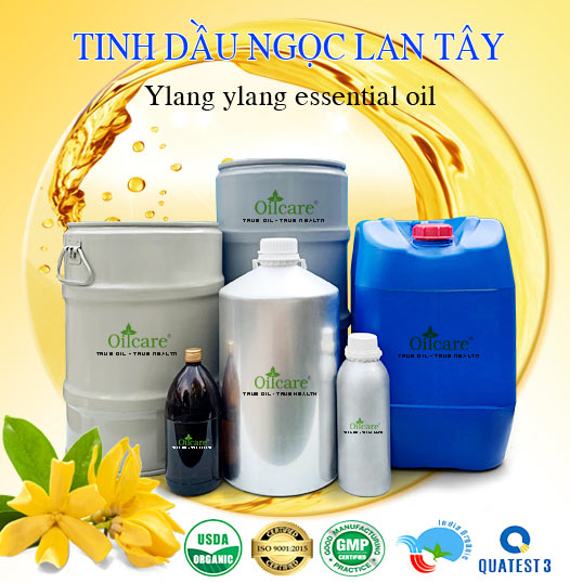 Bán Buôn Tinh Dầu Ngọc Lan Tây Giá Sỉ Với Số Lượng Lớn (Thùng, Phuy)
