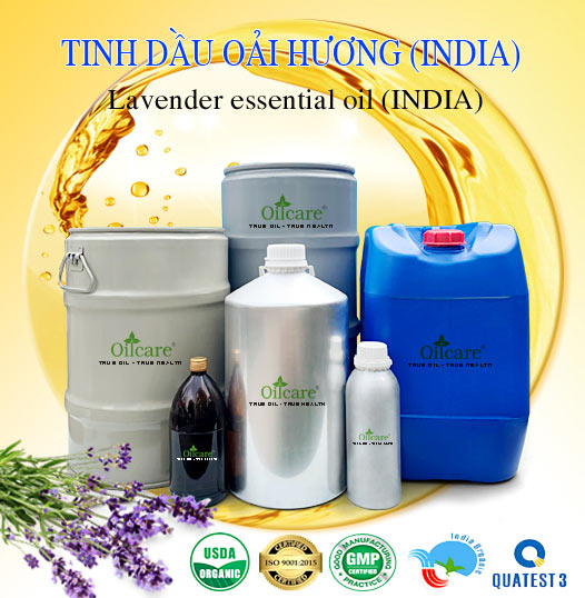 Bán Buôn Tinh Dầu Oải Hương Giá Sỉ Với Số Lượng Lớn (Thùng, Phuy)