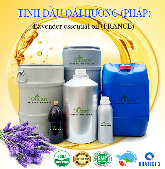 Bán Buôn Tinh Dầu Oải Hương Pháp Giá Sỉ Với Số Lượng Lớn (Thùng, Phuy)
