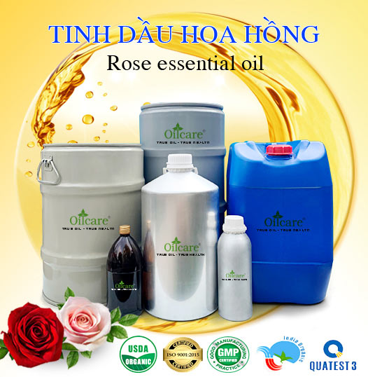 Bán Buôn Tinh Dầu Hoa Hồng Giá Sỉ Với Số Lượng Lớn (Thùng, Phuy)
