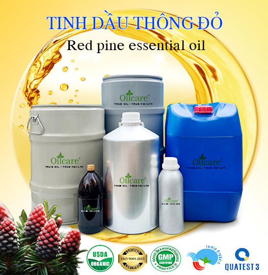 Chuyên Bán Buôn Tinh Dầu Thông Đỏ Giá Sỉ