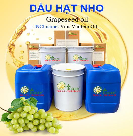 Bán Buôn Dầu Hạt Nho Giá Sỉ Với Số Lượng Lớn (Thùng, Phuy)