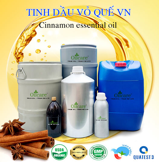 Chuyên Bán Buôn Tinh Dầu Quế Việt Nam Giá Sỉ Với Số Lượng Lớn (Thùng, Phuy)