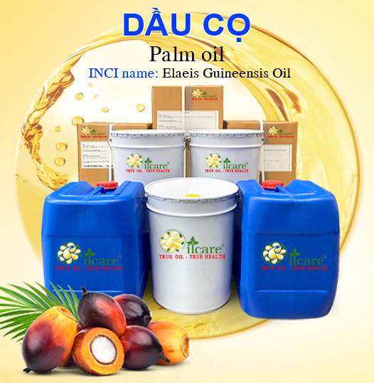 Bán Buôn Dầu Cook ĐB Giá Sỉ Với Số Lượng Lớn (Thùng, Phuy)
