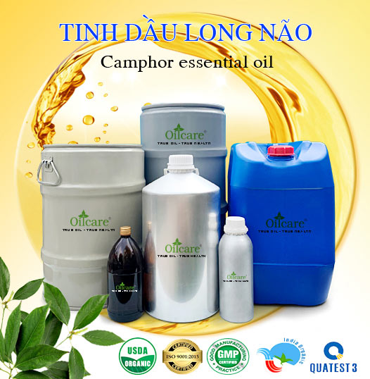 Bán Buôn Tinh Dầu Long Não Giá Sỉ Với Số Lượng Lớn (Thùng, Phuy)
