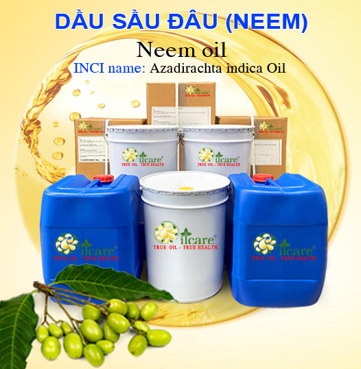 Bán Buôn Dầu Neem-Sầu Đâu Giá Sỉ Với Số Lượng Lớn (Thùng, Phuy)