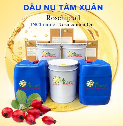 Bán Buôn Dầu Nụ Tầm Xuân Giá Sỉ Với Số Lượng Lớn (Thùng, Phuy)