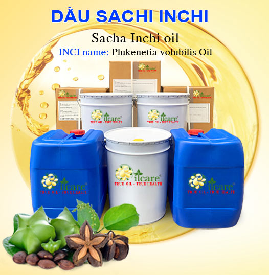 Bán Buôn Dầu Sachi inchi Giá Sỉ Với Số Lượng Lớn (Thùng, Phuy)
