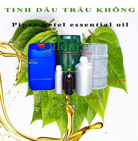 Tinh dầu trầu không piper betel leaf bán lít kg buôn giá sỉ rẻ