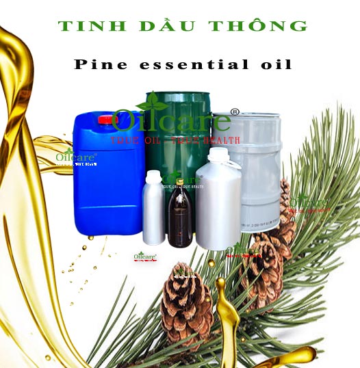 Tinh dầu thông pine bán lít kg buôn giá sỉ rẻ