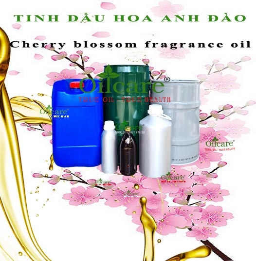 Tinh dầu hoa anh đào cherry blossom bán lít kg buôn giá sỉ rẻ