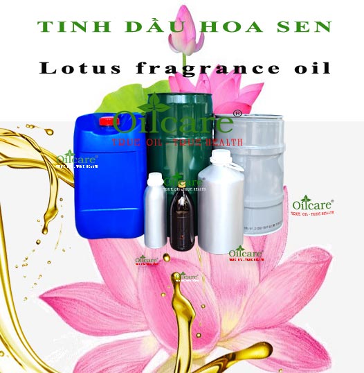 Tinh dầu hoa sen lotus bán lít kg buôn giá sỉ rẻ