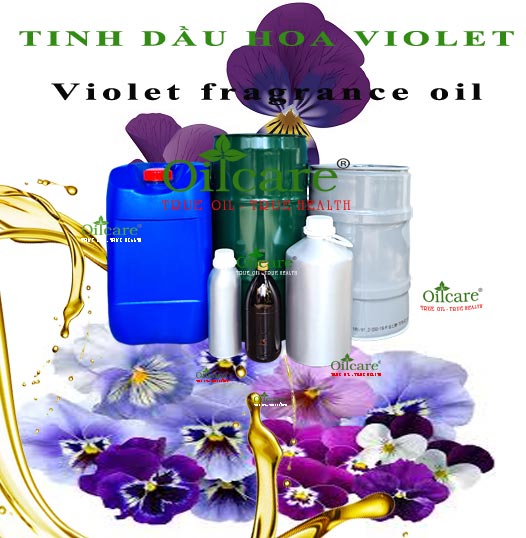 Tinh dầu hoa violet bán lít kg buôn giá sỉ rẻ