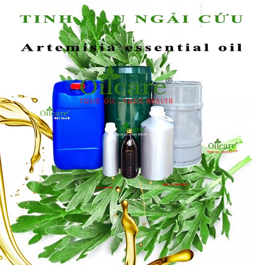 Tinh dầu ngải cứu artemisia bán lít kg buôn giá sỉ rẻ