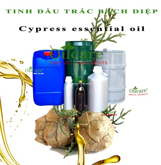 Tinh dầu trắc bách diệp cypress bán lít kg buôn giá sỉ rẻ