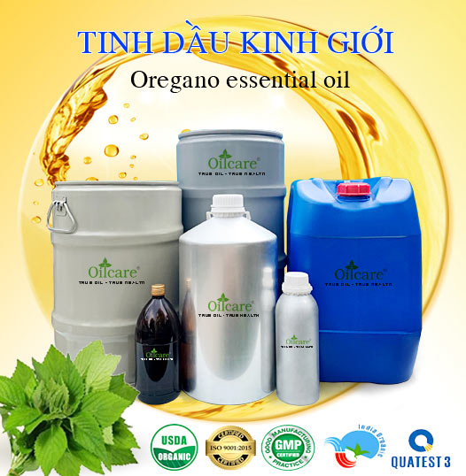 Bán Buôn Tinh Dầu Kinh Giới Giá Sỉ Với Số Lượng Lớn (Thùng, Phuy)