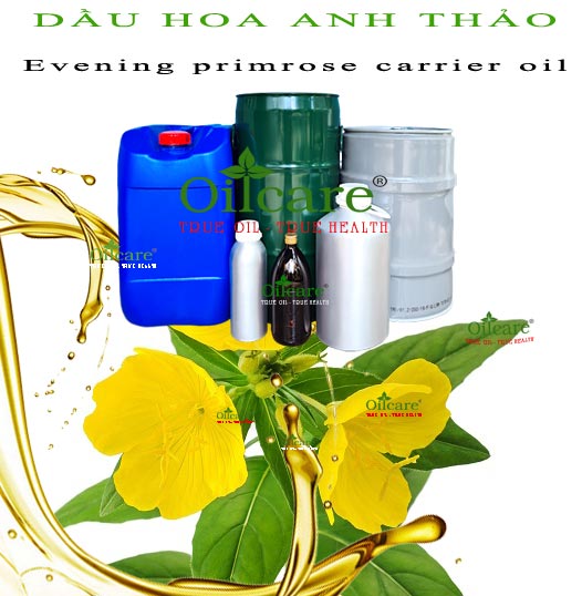 Dầu hoa anh thảo giá sỉ bán buôn lít kg rẻ evening primrose oil
