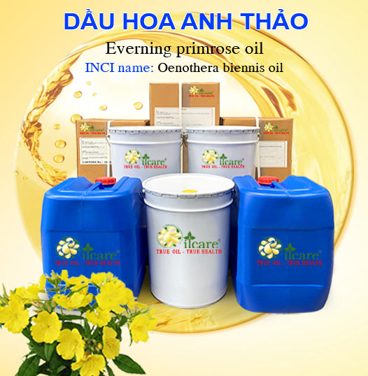 Bán Buôn Dầu Hoa Anh Thảo Giá Sỉ Với Số Lượng Lớn (Thùng, Phuy)