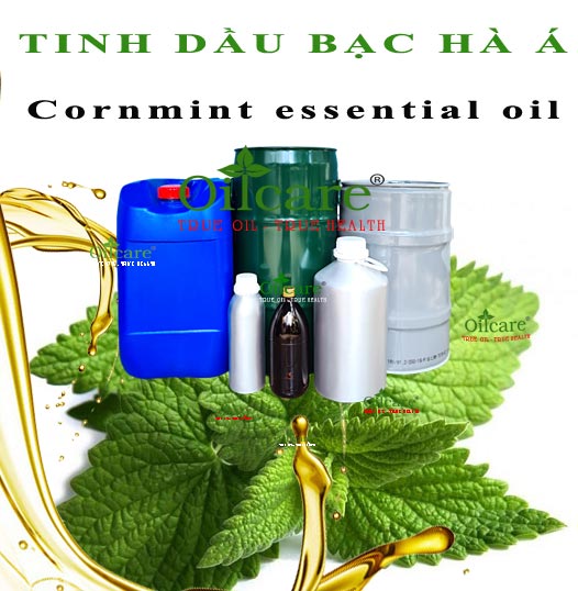 Tinh dầu bạc hà á cornmint essential oil bán sỉ lít kg buôn giá rẻ