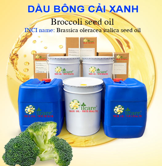 Bán Buôn Dầu Bông Cải Xanh Giá Sỉ Với Số Lượng Lớn (Thùng, Phuy)
