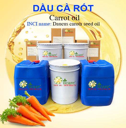 Bán Buôn Dầu Cà Rốt Giá Sỉ Với Số Lượng Lớn (Thùng, Phuy)