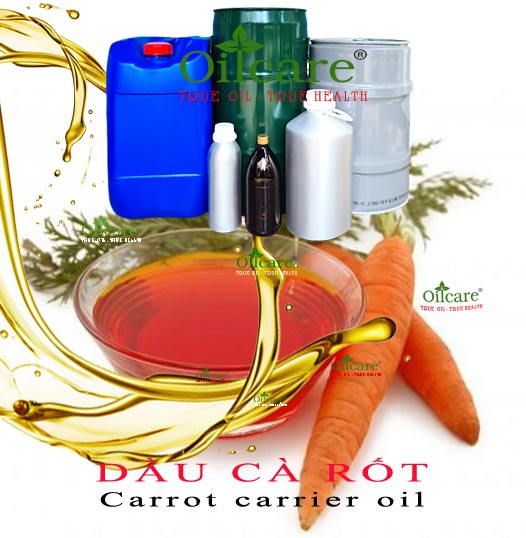 Dầu cà rốt bán lít carrot carrier oil kg buôn giá rẻ mua ở đâu