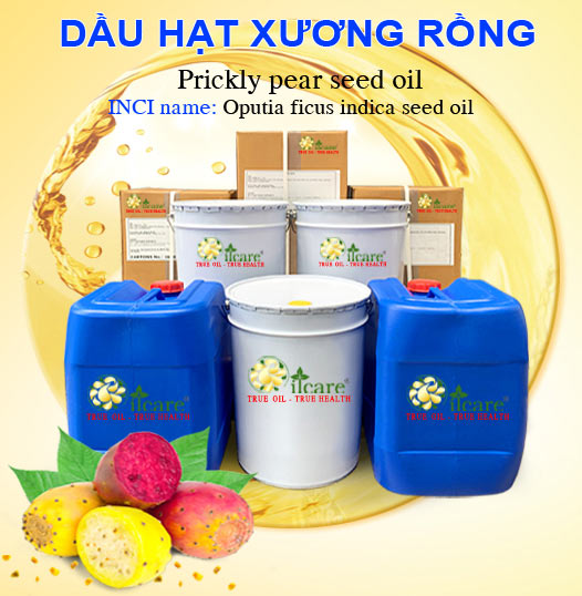 Bán Buôn Dầu Hạt Xương Rồng Giá Sỉ Với Số Lượng Lớn (Thùng, Phuy)