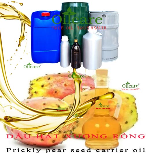 Dầu hạt xương rồng bán lít prickly pear seed carrier oil kg buôn giá rẻ mua ở đâu