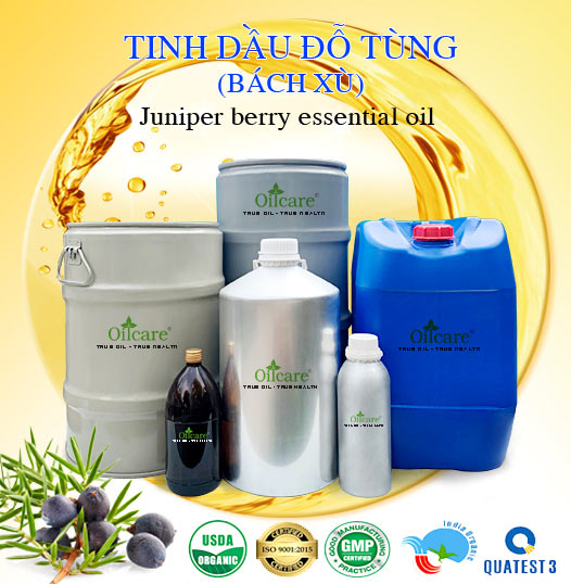 Bán Buôn Tinh Dầu Đỗ Tùng Giá Sỉ Với Số Lượng Lớn (Thùng, Phuy)