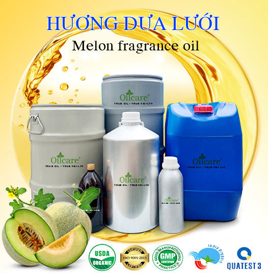 Chuyên Bán Buôn Hương Dưa Lưới Giá Sỉ Với Số Lượng Lớn (Thùng, Phuy)