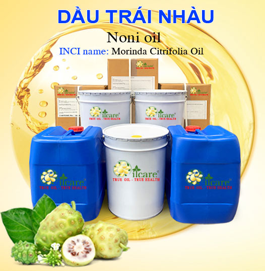 Bán Buôn Dầu Trái Nhàu Giá Sỉ Với Số Lượng Lớn (Thùng, Phuy)