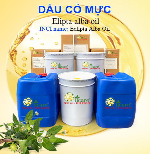Bán Buôn Dầu Cỏ Mực Giá Sỉ Với Số Lượng Lớn (Thùng, Phuy)